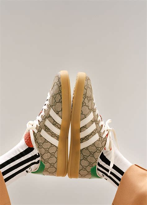 gucci champion|adidas Gucci 2024.